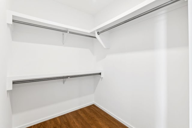 walk in closet featuring dark wood-style flooring