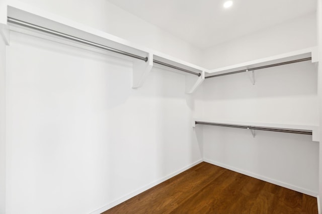 spacious closet featuring dark wood-style floors