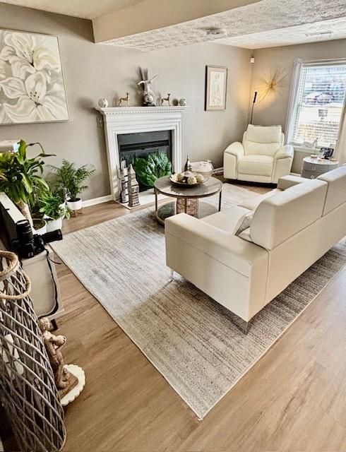 living area with a glass covered fireplace, baseboards, and wood finished floors