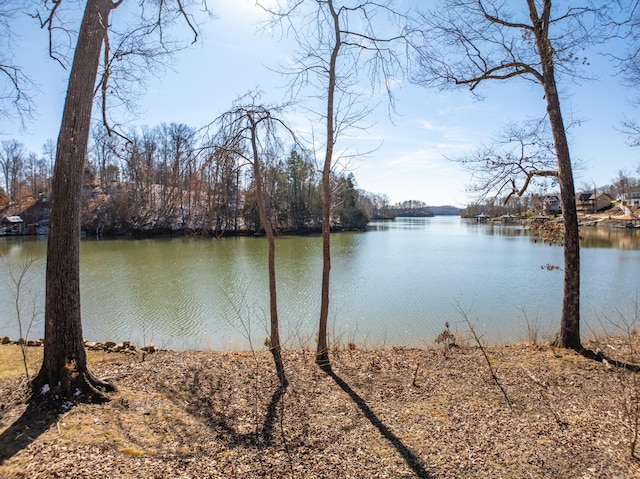 0 Edgewater Way, Ten Mile TN, 37880 land for sale