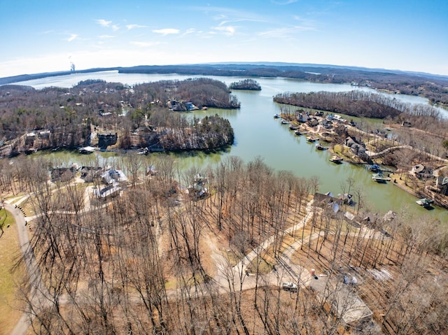 Listing photo 3 for 0 Edgewater Way, Ten Mile TN 37880