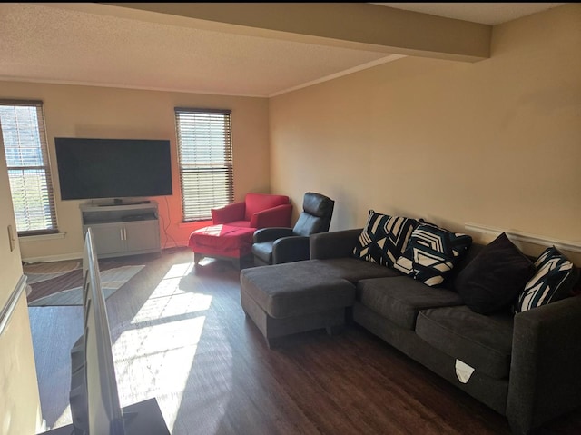 living area featuring crown molding, wood finished floors, and baseboards