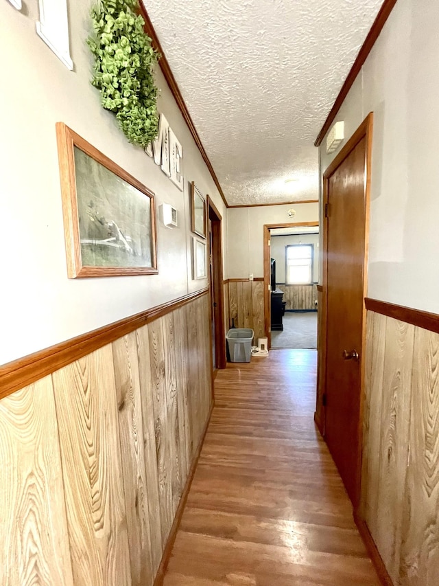 corridor with wooden walls, a wainscoted wall, and a textured ceiling