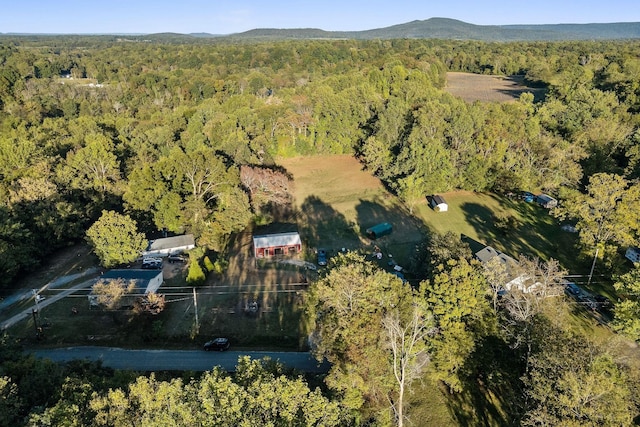 birds eye view of property featuring a view of trees and a mountain view