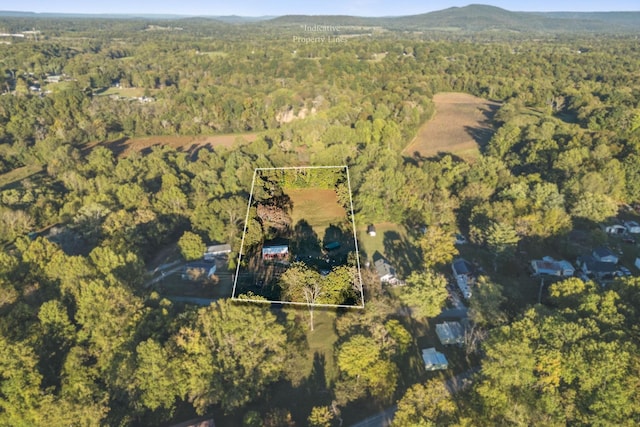 bird's eye view with a wooded view