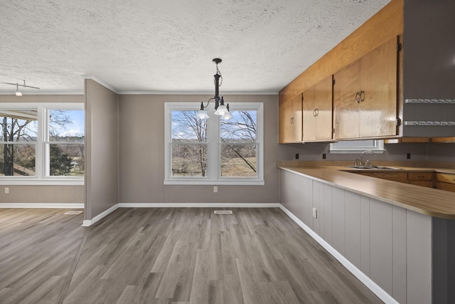 unfurnished dining area featuring wood finished floors, a wealth of natural light, and a sink