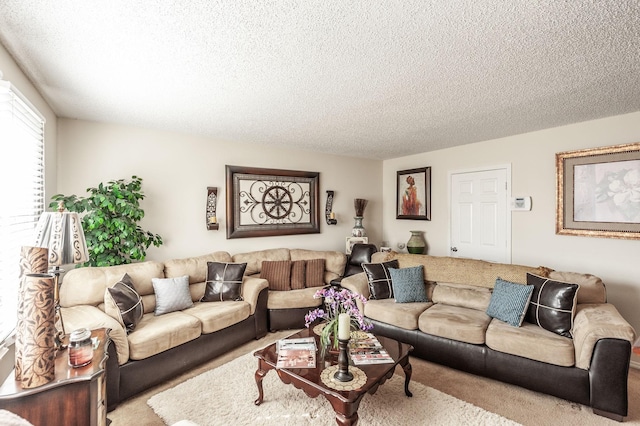 carpeted living room with a textured ceiling