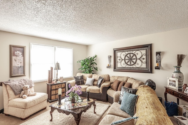 living area with carpet flooring and a textured ceiling