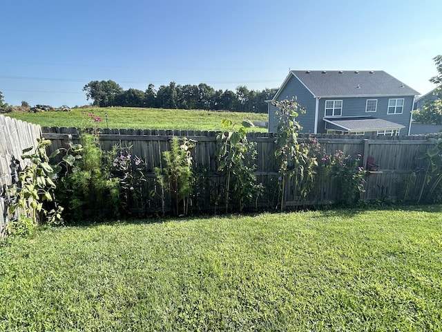 view of yard featuring a fenced backyard