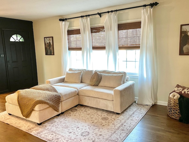 living room with baseboards and wood finished floors