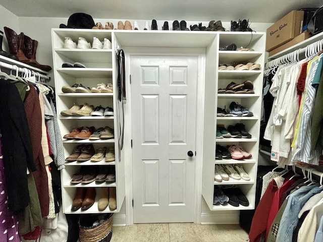 view of spacious closet