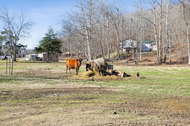 view of yard featuring a rural view