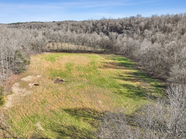 bird's eye view featuring a forest view