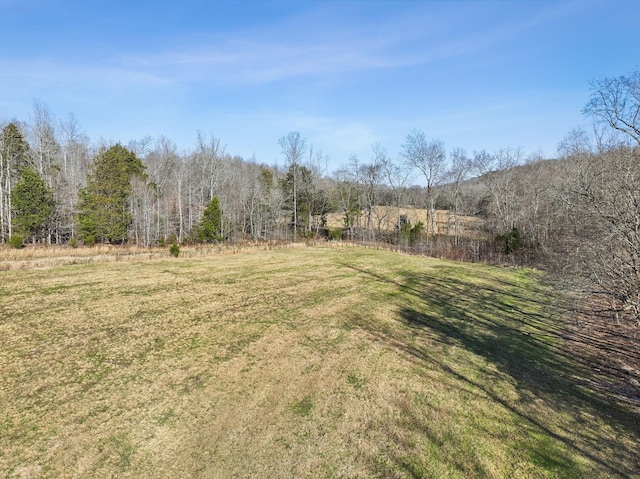 view of yard with a wooded view