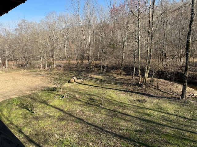 view of yard with dirt driveway