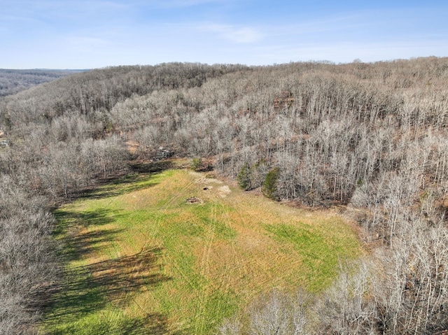 aerial view with a forest view