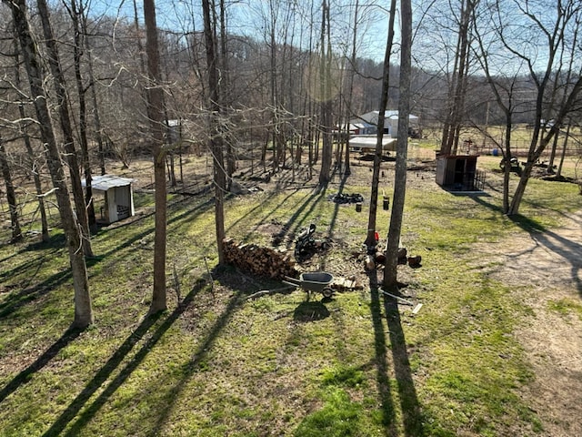 view of yard featuring an outdoor structure