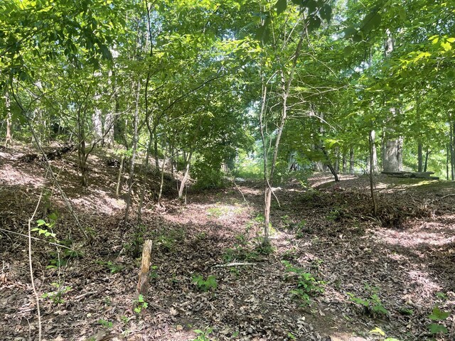7822 Barnhill Rd, Primm Springs, TN 38476 - photo 18