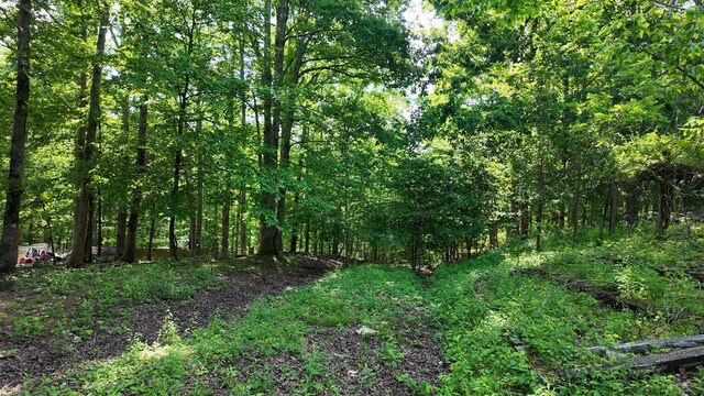 7822 Barnhill Rd, Primm Springs, TN 38476 - photo 10