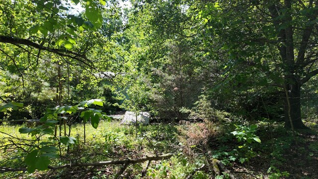 7822 Barnhill Rd, Primm Springs, TN 38476 - photo 7
