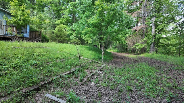 7822 Barnhill Rd, Primm Springs, TN 38476 - photo 12