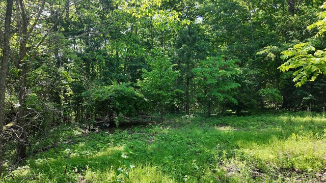 7822 Barnhill Rd, Primm Springs, TN 38476 - photo 9
