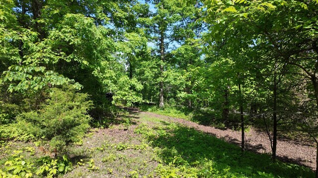 7822 Barnhill Rd, Primm Springs, TN 38476 - photo 8