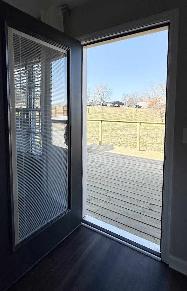 entryway featuring wood finished floors and a healthy amount of sunlight