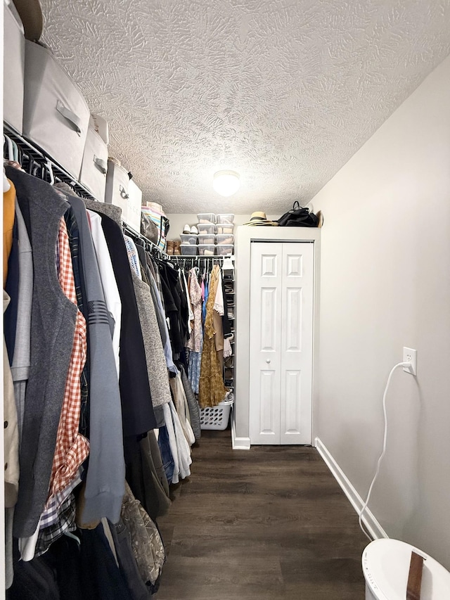 spacious closet featuring dark wood-type flooring