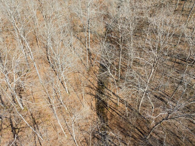 5717 Quest Ridge Rd, Franklin, TN 37064