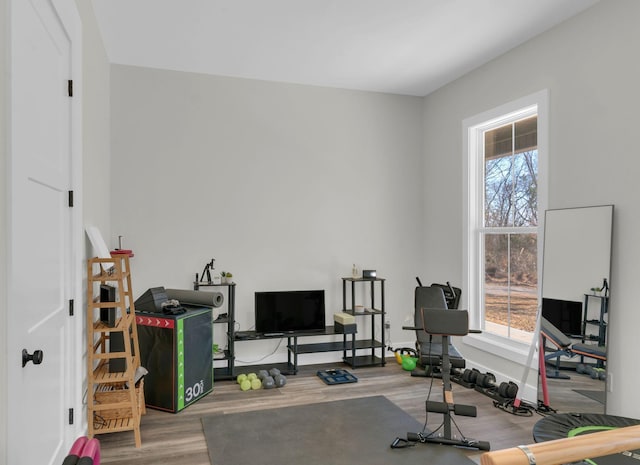 workout area with wood finished floors and a wealth of natural light