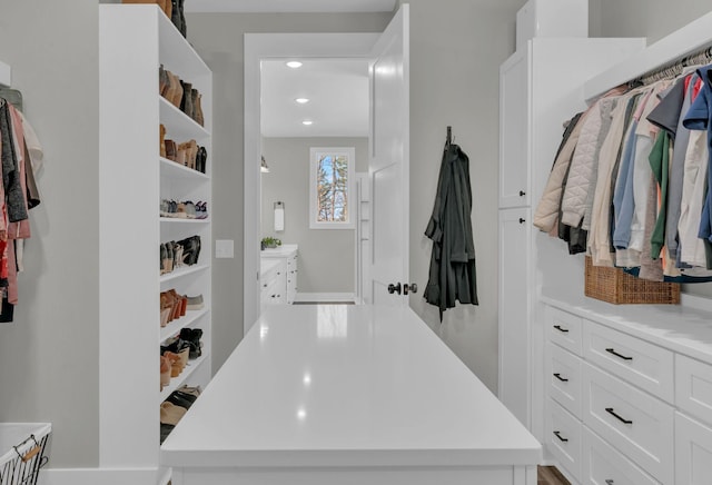 view of walk in closet