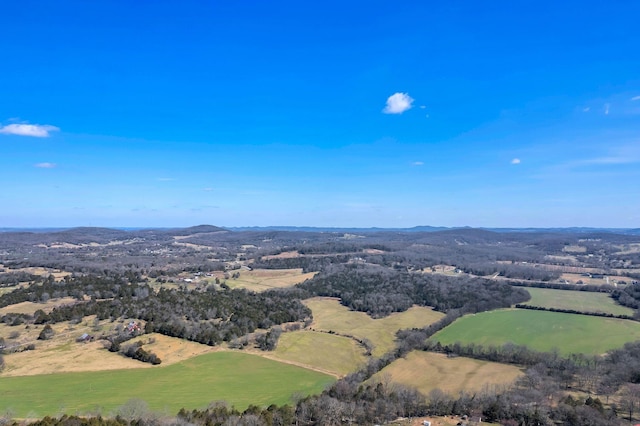 birds eye view of property with a rural view and a mountain view