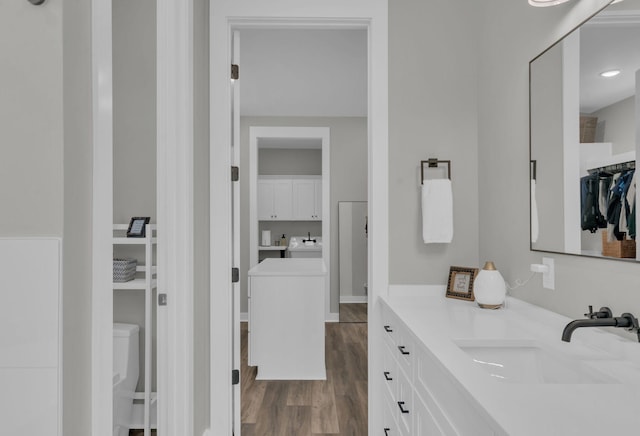 bathroom with vanity, wood finished floors, and a spacious closet