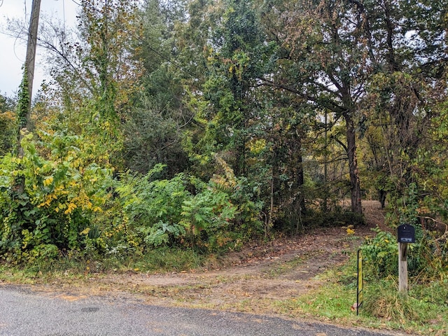 71 Myers Town Rd, Beersheba Springs, TN 37305 - photo 9