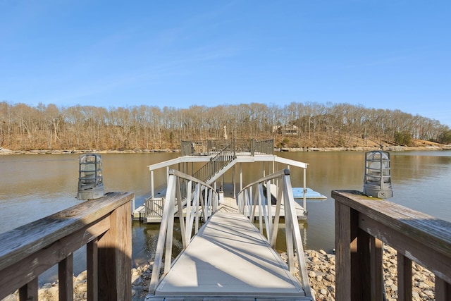 dock area featuring a water view
