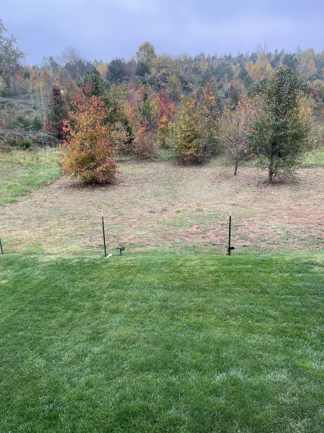 view of yard with a rural view