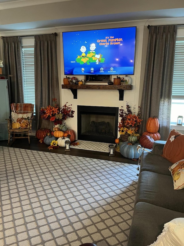 living area with a fireplace with raised hearth