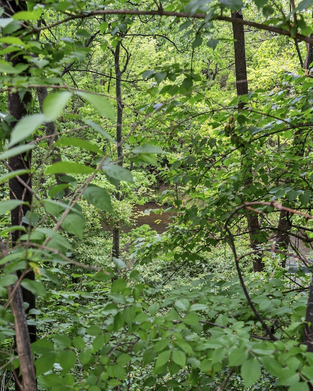 view of nature with a wooded view