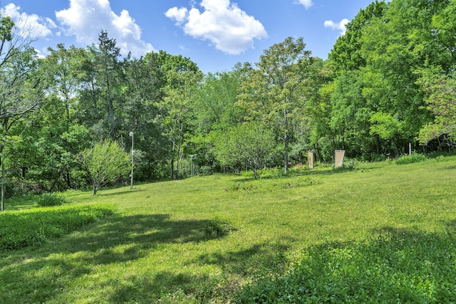 view of yard with a view of trees