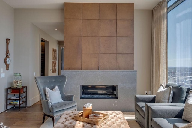 living area featuring a glass covered fireplace, wood finished floors, and baseboards