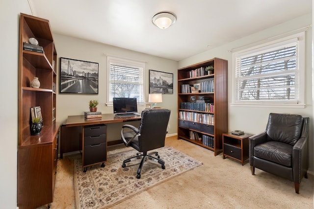 office with light colored carpet