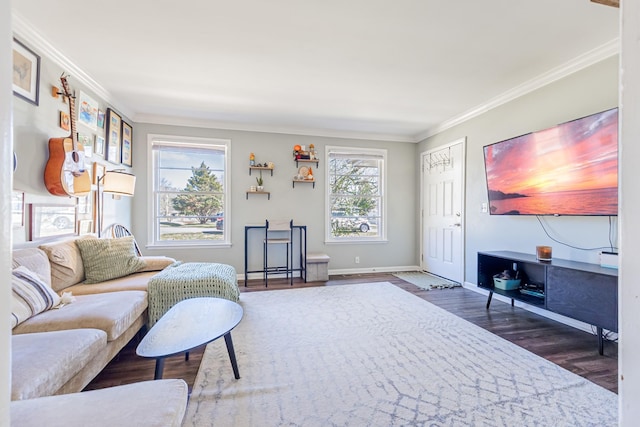 living area featuring wood finished floors, baseboards, and ornamental molding