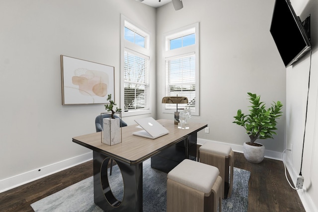 office space with baseboards and dark wood-style floors