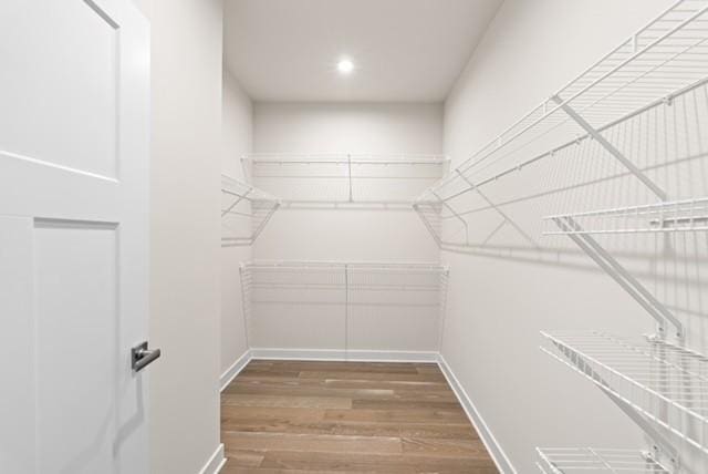 spacious closet featuring wood finished floors