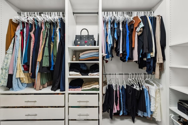 view of spacious closet