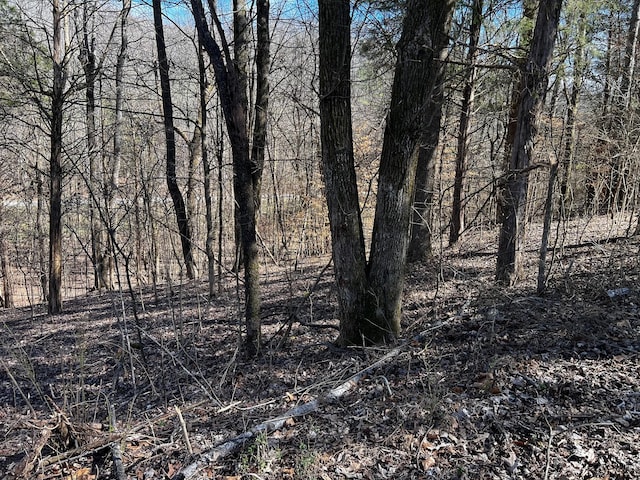0 Lakeshore Dr, Dover, TN 37058 - photo 2