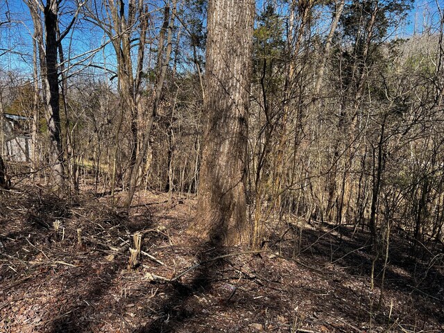 0 Lakeshore Dr, Dover, TN 37058 - photo 8