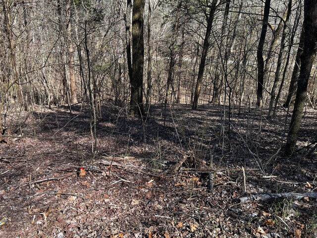 0 Lakeshore Dr, Dover, TN 37058 - photo 7
