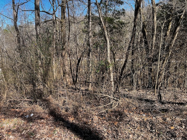 0 Lakeshore Dr, Dover, TN 37058 - photo 3